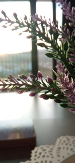 Apartament de închiriat în bloc nou - 9