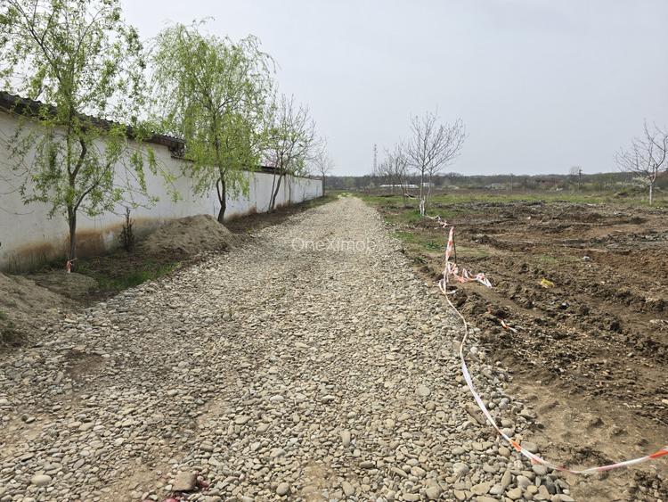 Oportunitate! - TEREN DEZVOLTARE | STR. COMPLEX OLIMPIC | GAZ | CURENT - 3