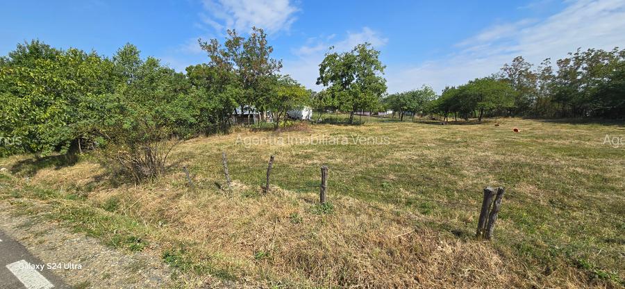 Terenuri in Cucorani - 2