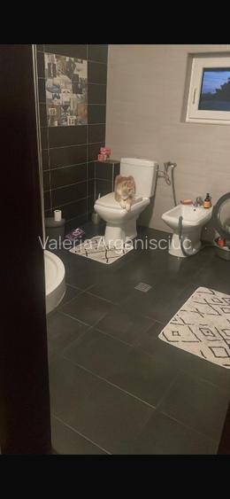 Casă P+1 , mobilată și utilată ,de vânzare în Chitila, str Nicolae Bălcescu 59-. - 5