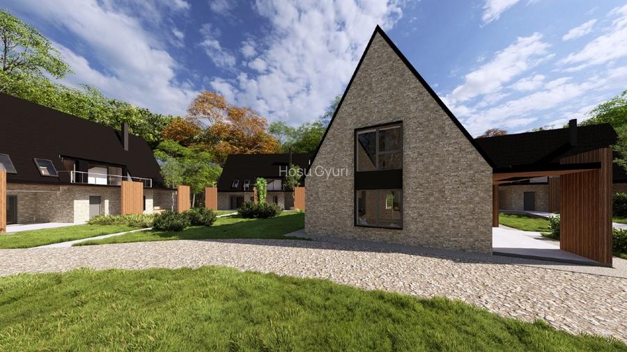 Proiect resort premium lângă Sovata - Campu Cetatii (teren+ 16 vile+ restaurant) - 2