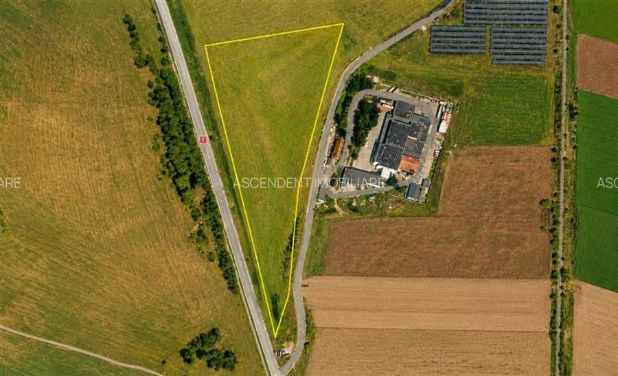 22.500mp oportunitate investitie, teren cu vizibilitate la DN1/ E68, Codlea, Bra - 2