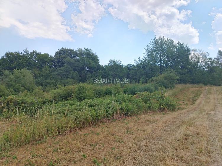 2 Parcele de teren extravilan zona Bradet Pret 3000eur/ar neg usor - 8