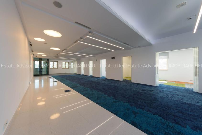 Vila Capo | Luxury offices 1800 mp | Dorobanti Capitale - 6