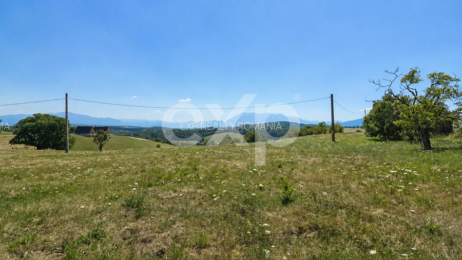 PANORAMA POIANA MĂRULUI | Teren cu potențial de dezvoltare - 3