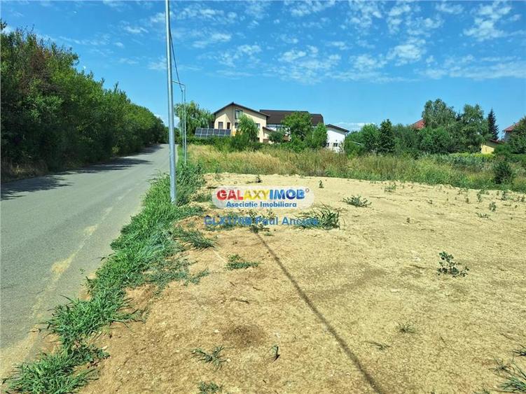 Teren Balotesti Saftica str Morarilor  11500 mp canalizare - 2