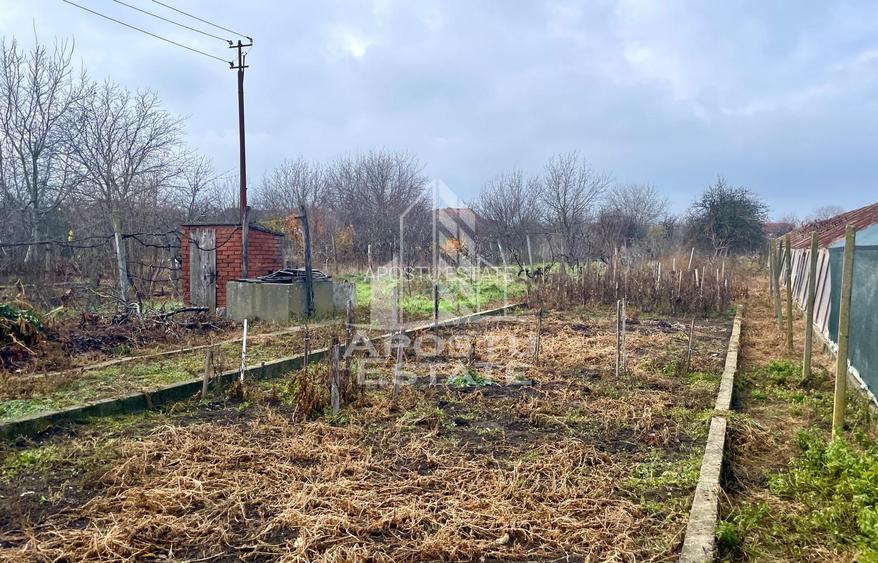 Casa 4 camere, anexe, teren generos zona Aradul Nou Cl. Timisorii - 12