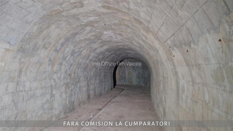 OPORTUNITATE UNICA IN DOMENIUL VITICOL - 10