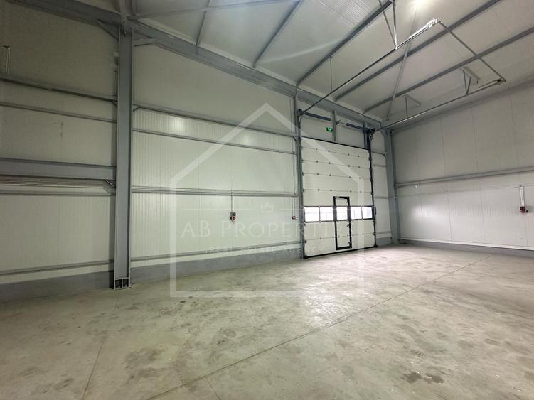 HALA depozit/hala/spatiu industrial , CHITILA - TOP DEAL