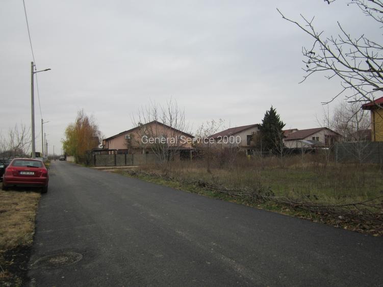 Drumul Targului-Stelelor - 8