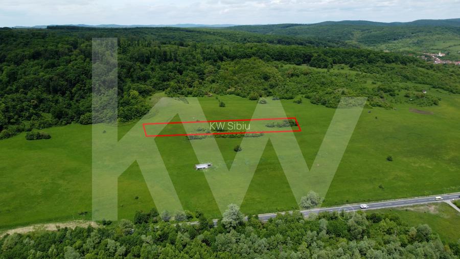 Teren de vânzare – 4.000 mp la intrare in Bradu, județul Sibiu - 3