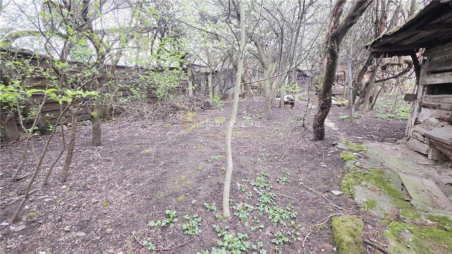 CASA 136 MP TEREN 561 MP FRONT 14 ML ZORILOR  MARINESCU - 7