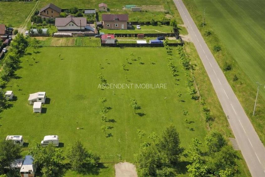 Film! Afacere la cheie  -Camping amenajat, Rasnov - Glajerie, Brasov - 8