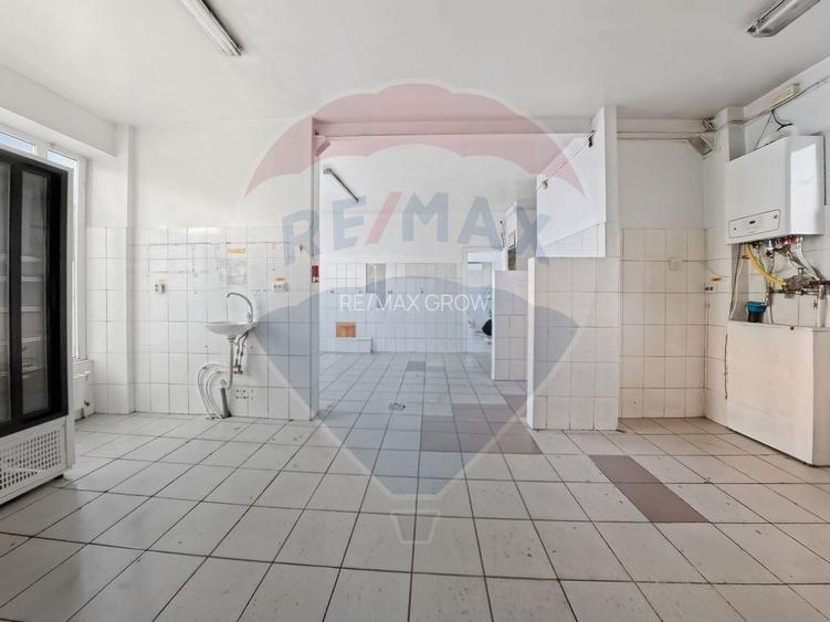 Cladire individuala 243 mp de inchiriat pe strada Mioritei - 14