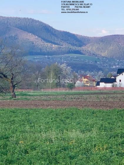 Teren Vadurele, Al.cel Bun - 6