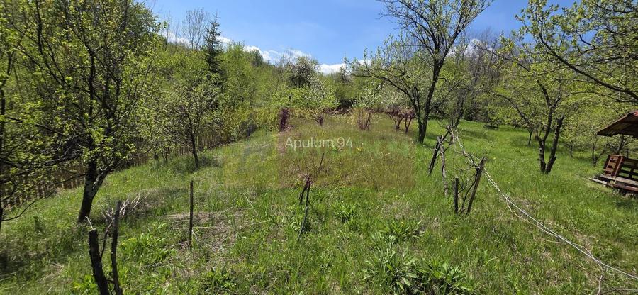 Teren cu Casuta de lemn in Sotrile (langă Valea Doftanei) - 12