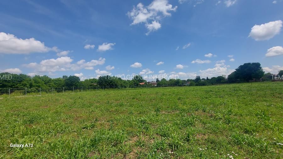 Snagov- Gruiu- Santul Floresti -Proprietate cu stil pentru oameni gospodari! - 52