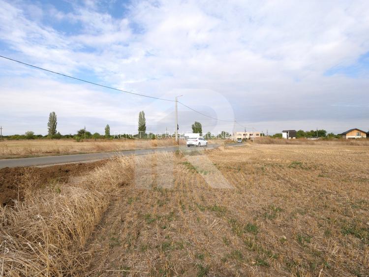 LOTURI PENTRU CASA - 420mp + 89mp drum - Otopeni, Ilfov - IN CURS DE AUTORIZARE - 2