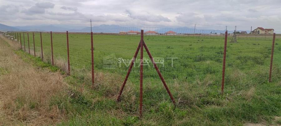 Teren  intravilan cu PUZ 30.000 mp Prejmer - 4