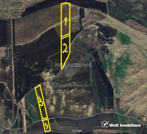 Teren in Fanatele Clujului Valea lui Craiu, 8.1 ha, extravilan - 3
