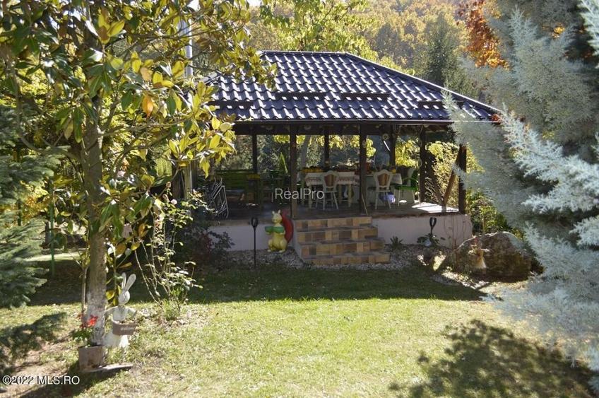 Topoloveni - Conacul Ion Mihalache, Domeniu pe 5 Hectare! - 14