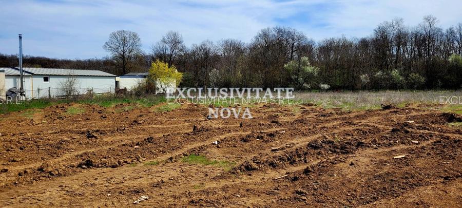 0% ! Teren INTRAVILAN Padurea Cernica 4900-9800MP INTRAVILAN - 5