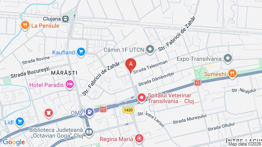 Apartament 1 cameră, decomandat,  et. 1, langa Iulius Mall direct de la proprie  - 9