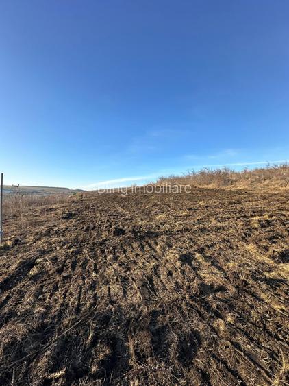 Parcele teren 600 mp – Valea Fanatelor – Acces drum, curent tras - 2