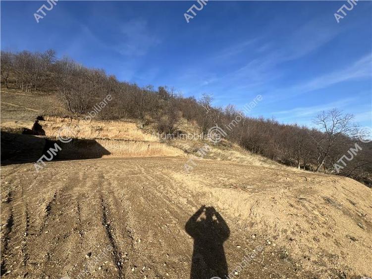 Teren intravilan de 1641 mp cu PUZ aprobat si utilitati in Cisnadioara - 10