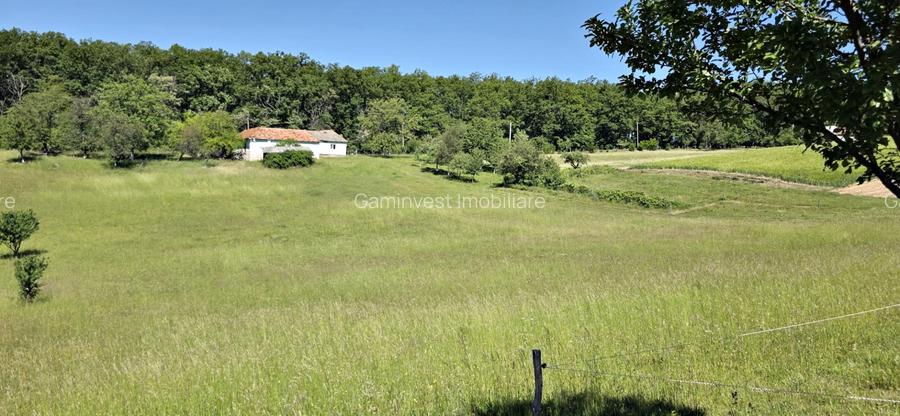 Casa de vanzare si teren de 24000 mp in Fasca, langa padure, 45 km de Oradea - 5