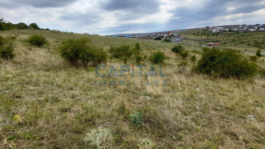 Oferta speciala! Teren intravilan, 9 400 mp, oportunitate de investitie!  - 3