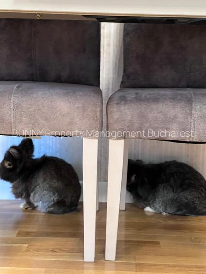 Luxuria Residence | Code MY032-02  |  620EUR+TVA - 30