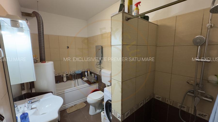 Casa 4 camere cu Teren 2.974 mp | Rezidenta sau afacere | Carei - 9