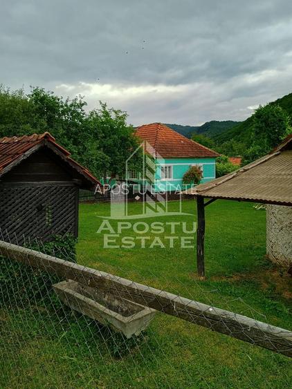 Casa batraneasca de vanzare, 4 camere, in Hunedoara, sat Micanesti - 13