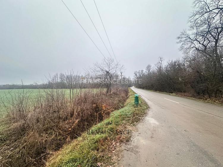 Giroc Teren 30.000mp PUZ APROBAT Pentru Case | Asfalt - Langa Padure - 5