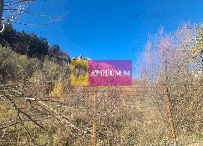 Teren intravilan de vânzare în Bușteni - Zona centrala - 4