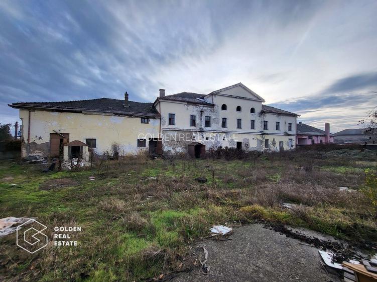 Proprietate tip conac, teren 4468 mp, oras Lipova - 3