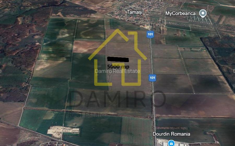 Teren Intravilan 5000 mp Buftea Tamasi - 4