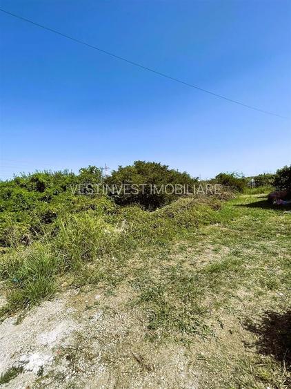 Hala Industriala 250 mp Cu Teren De 1510 mp - 11