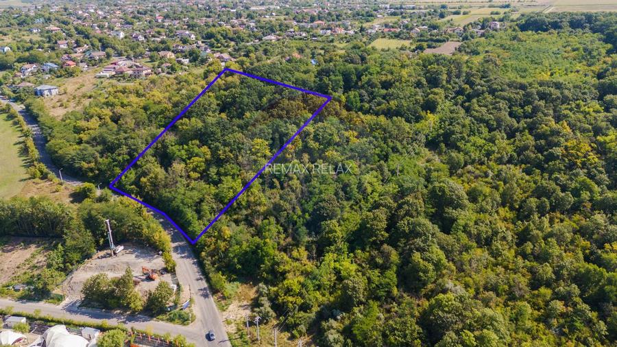 Investiție Unică: Teren de Vânzare 11.330mp pe Lacul Aroneanu - Iași - 4