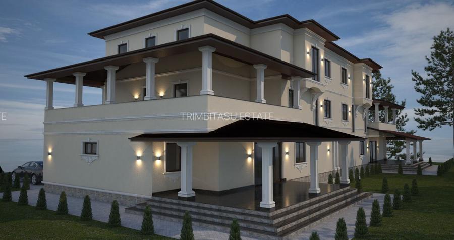 Case cu suflet &acirc; 455 mp utili + teren 1.000 mp Cernica-Bălăceanca - 6