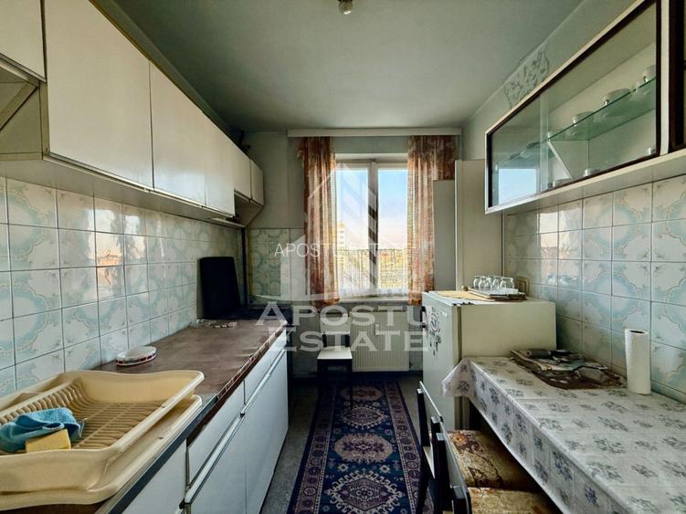 Apartament 3 camere de vanzare zona Iosefin Gara Timisoara - 9