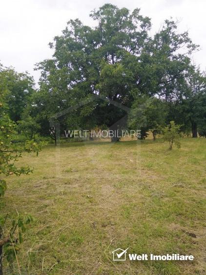 Casa individuala in Sancraiu (CJ), 4 camere, 160mp utili, 3400mp teren - 21