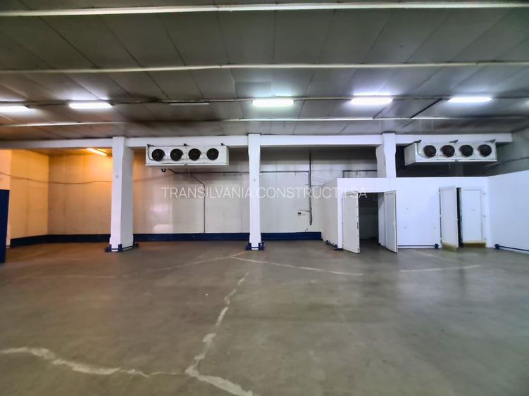 Depozit de închiriat în Someșeni – 498 mp - 2