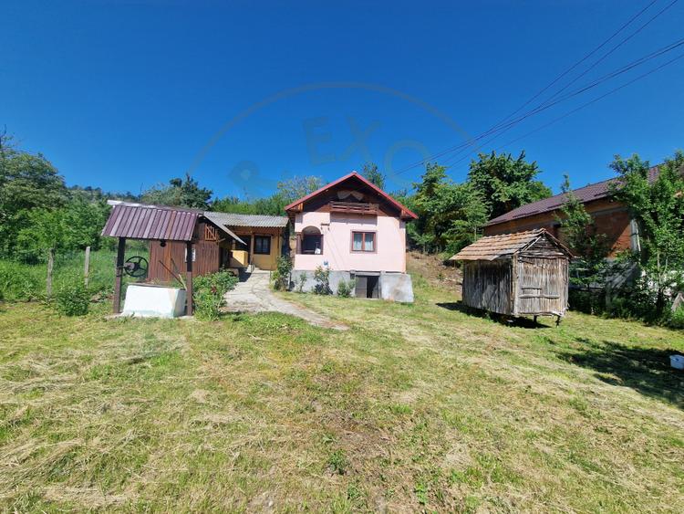 Căsuță autentică românească între două dealuri–colț de liniște în Botesti, Arge