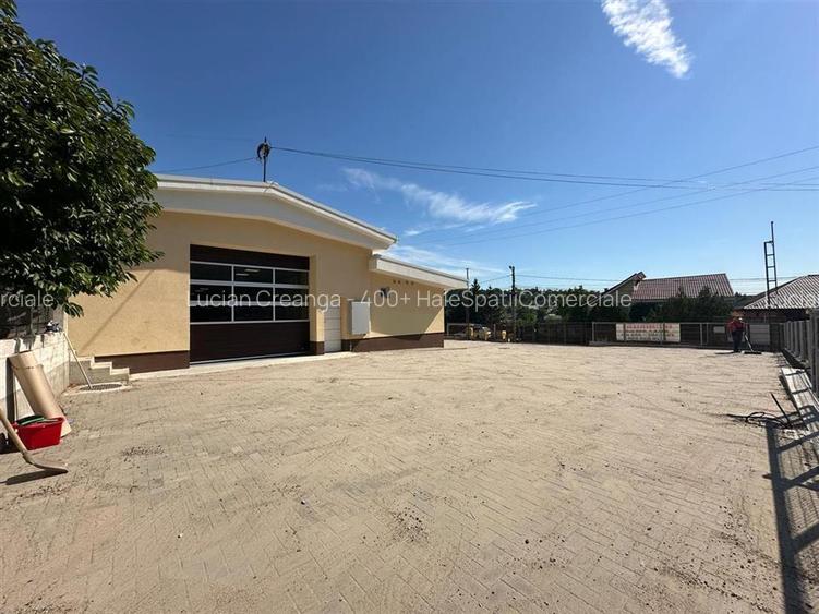 Spatiu Valea Lupului, Antibiotice, multifunctional, 334mp - 13