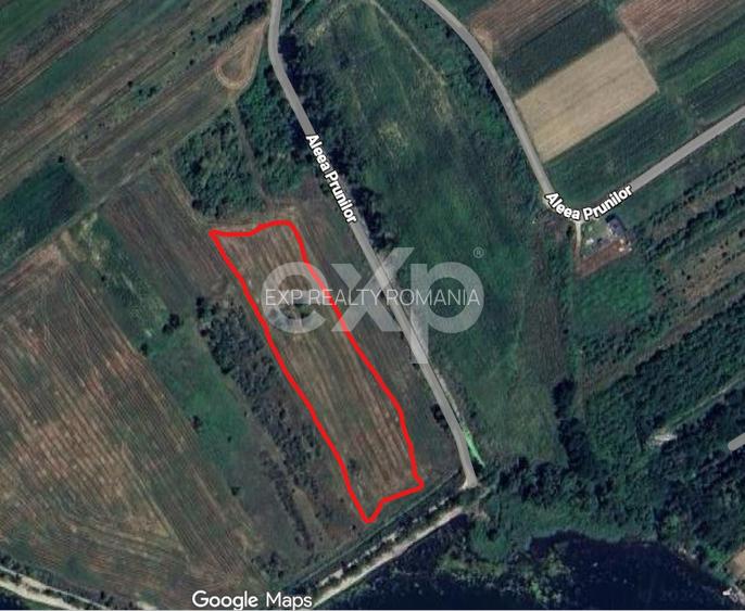 Teren Budeasa cu iesire la lac - 3