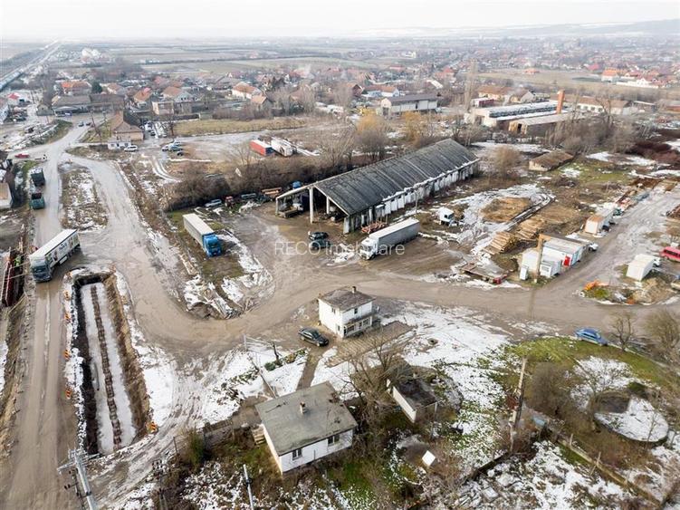 RECO . Proprietate industriala Tileagd . - 16