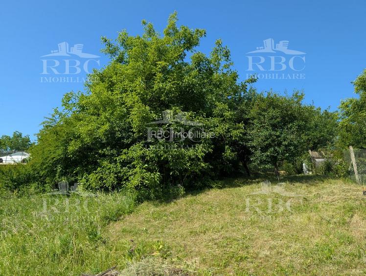 Teren intravilan 4600 mp cu front de 25 m pe strada Odobesti - 4