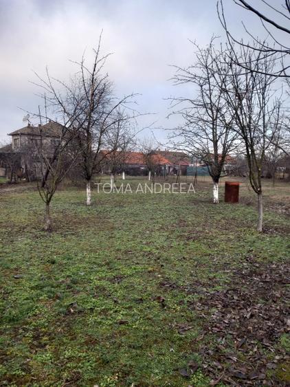 Vând casă locuită  în Zimandu Nou - 7